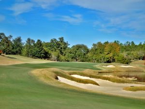 Fallen Oak 9th Fairway